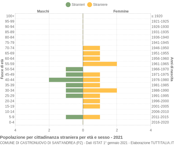 Grafico cittadini stranieri - Castronuovo di Sant'Andrea 2021