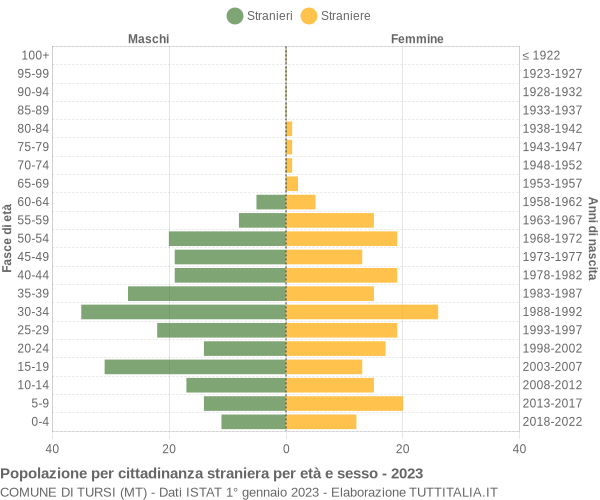 Grafico cittadini stranieri - Tursi 2023