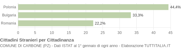 Grafico cittadinanza stranieri - Carbone 2009