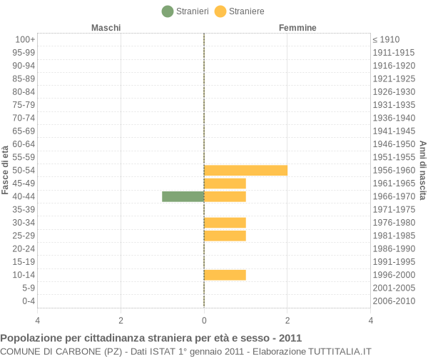 Grafico cittadini stranieri - Carbone 2011