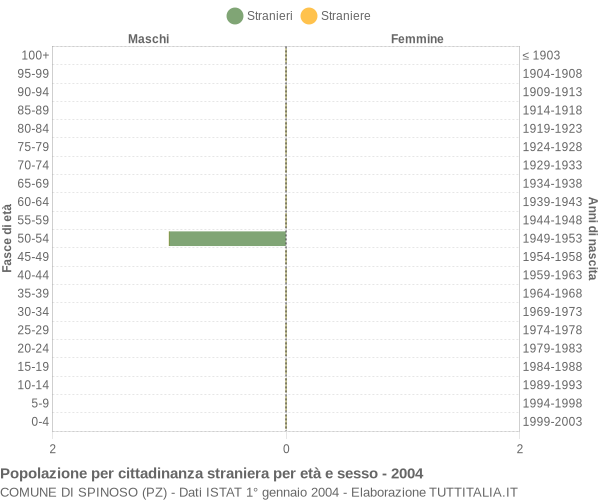 Grafico cittadini stranieri - Spinoso 2004