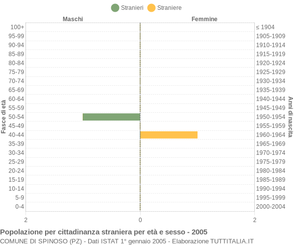 Grafico cittadini stranieri - Spinoso 2005