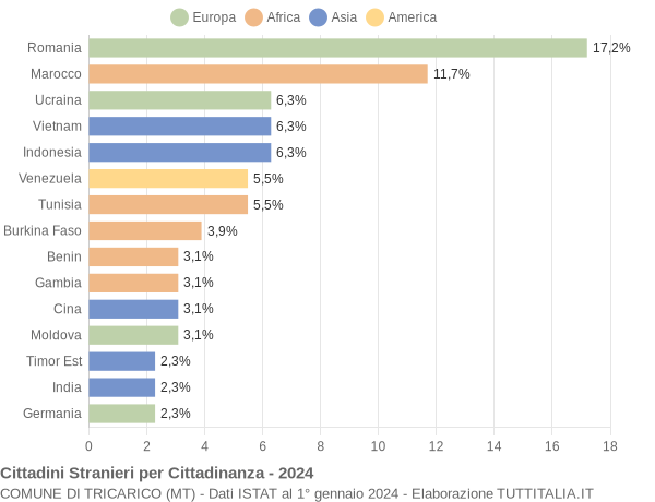 Grafico cittadinanza stranieri - Tricarico 2024