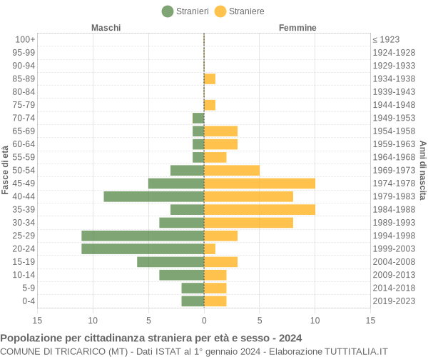 Grafico cittadini stranieri - Tricarico 2024