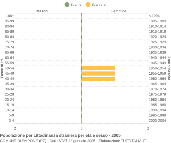 Grafico cittadini stranieri - Rapone 2005