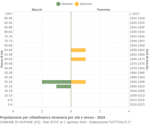 Grafico cittadini stranieri - Rapone 2024