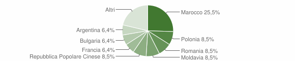 Grafico cittadinanza stranieri - Pignola 2007