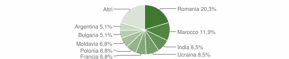 Grafico cittadinanza stranieri - Pignola 2013