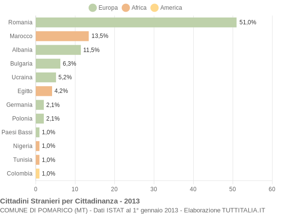 Grafico cittadinanza stranieri - Pomarico 2013