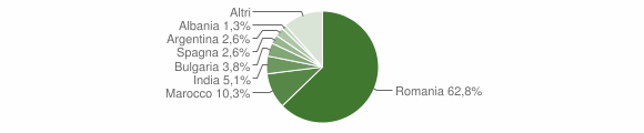 Grafico cittadinanza stranieri - Brienza 2011