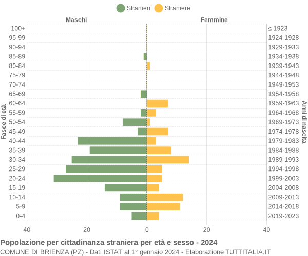 Grafico cittadini stranieri - Brienza 2024