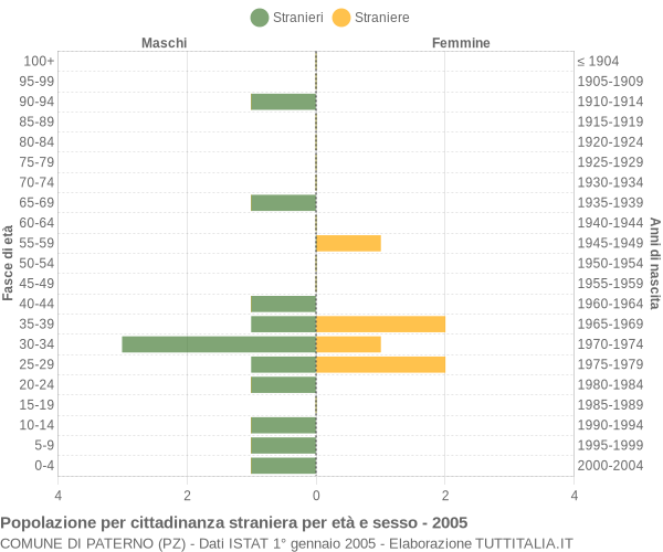 Grafico cittadini stranieri - Paterno 2005