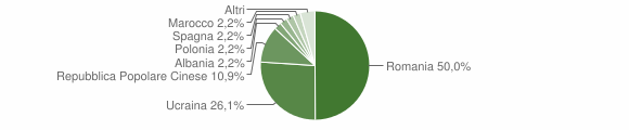 Grafico cittadinanza stranieri - Rotonda 2010