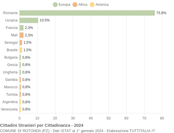 Grafico cittadinanza stranieri - Rotonda 2024