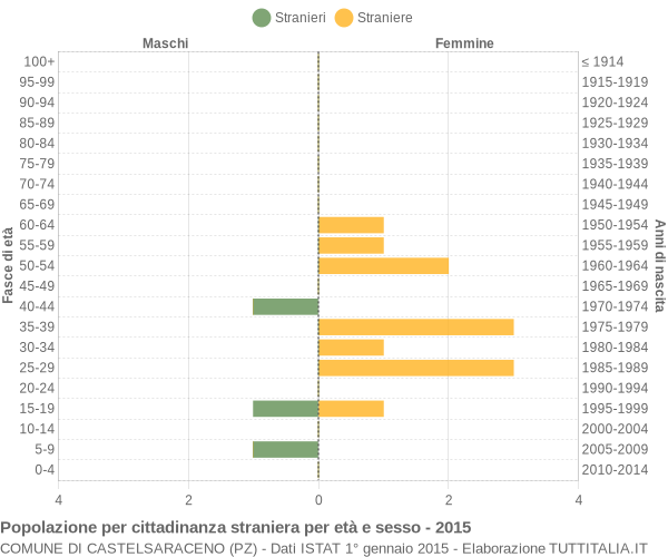 Grafico cittadini stranieri - Castelsaraceno 2015