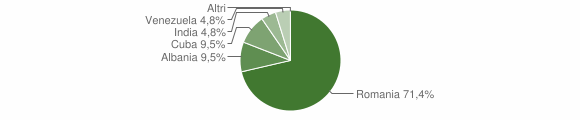 Grafico cittadinanza stranieri - Cancellara 2013