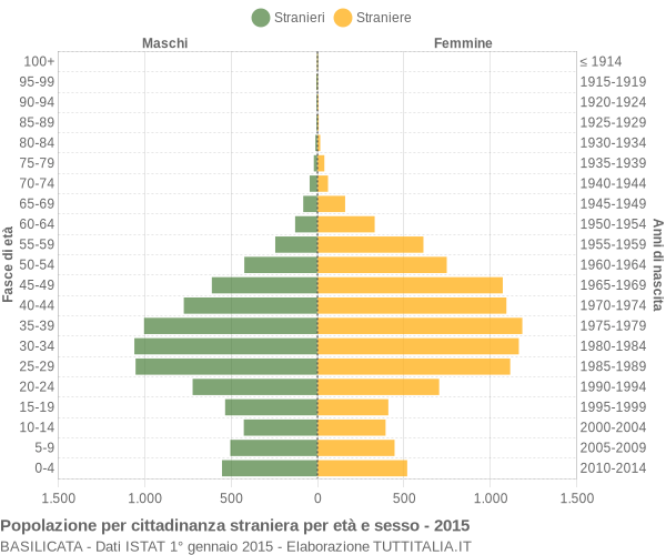 Grafico cittadini stranieri - 2015