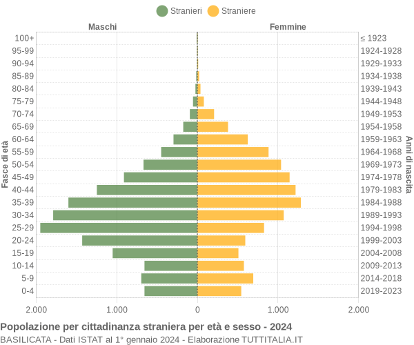 Grafico cittadini stranieri - 2024