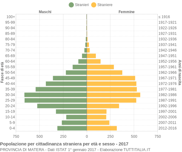 Grafico cittadini stranieri - 2017