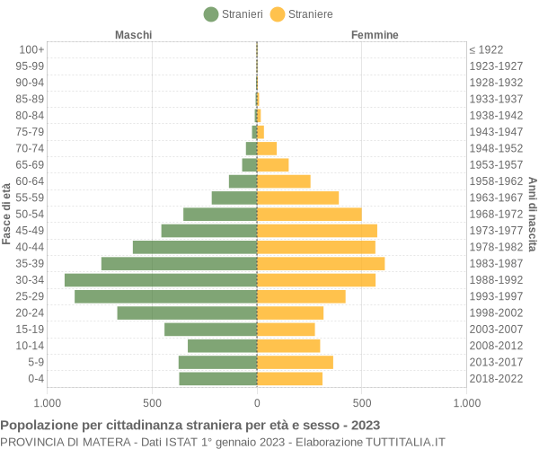 Grafico cittadini stranieri - 2023