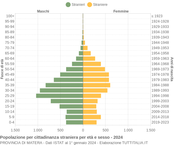 Grafico cittadini stranieri - 2024