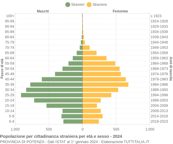 Grafico cittadini stranieri - 2024