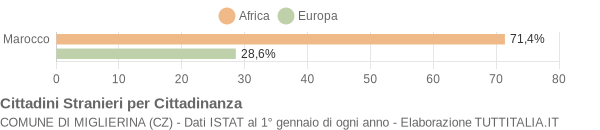 Grafico cittadinanza stranieri - Miglierina 2009