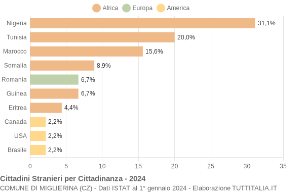 Grafico cittadinanza stranieri - Miglierina 2024