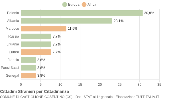 Grafico cittadinanza stranieri - Castiglione Cosentino 2007