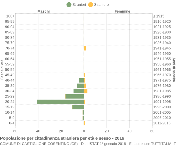 Grafico cittadini stranieri - Castiglione Cosentino 2016