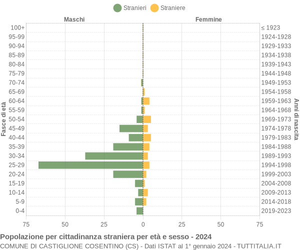 Grafico cittadini stranieri - Castiglione Cosentino 2024