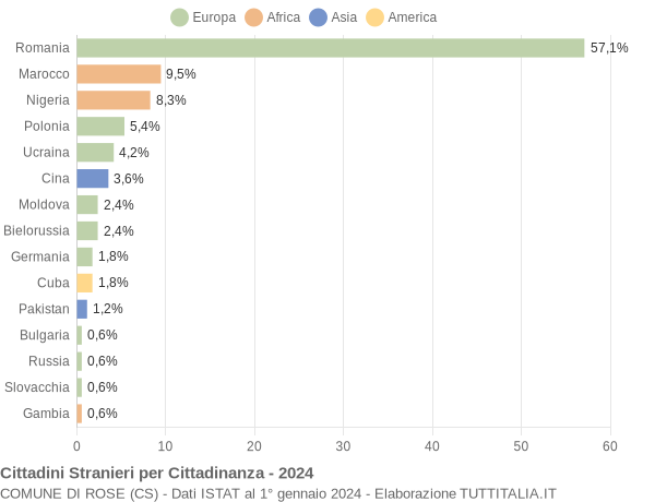 Grafico cittadinanza stranieri - Rose 2024