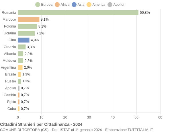 Grafico cittadinanza stranieri - Tortora 2024