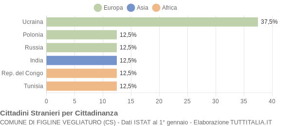 Grafico cittadinanza stranieri - Figline Vegliaturo 2005