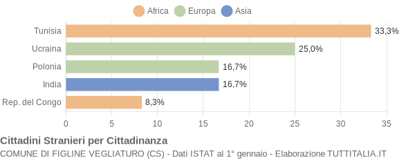 Grafico cittadinanza stranieri - Figline Vegliaturo 2006