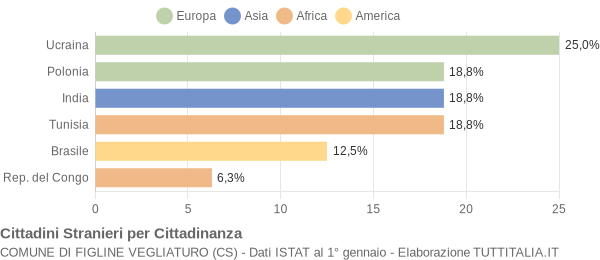 Grafico cittadinanza stranieri - Figline Vegliaturo 2007