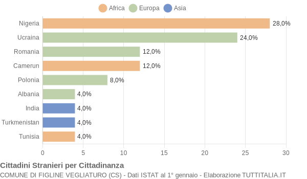 Grafico cittadinanza stranieri - Figline Vegliaturo 2019