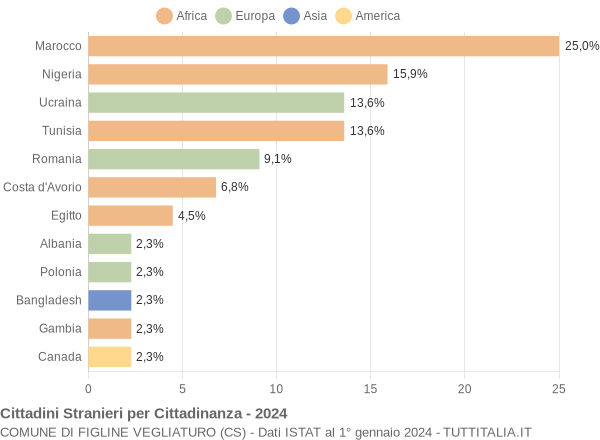 Grafico cittadinanza stranieri - Figline Vegliaturo 2024