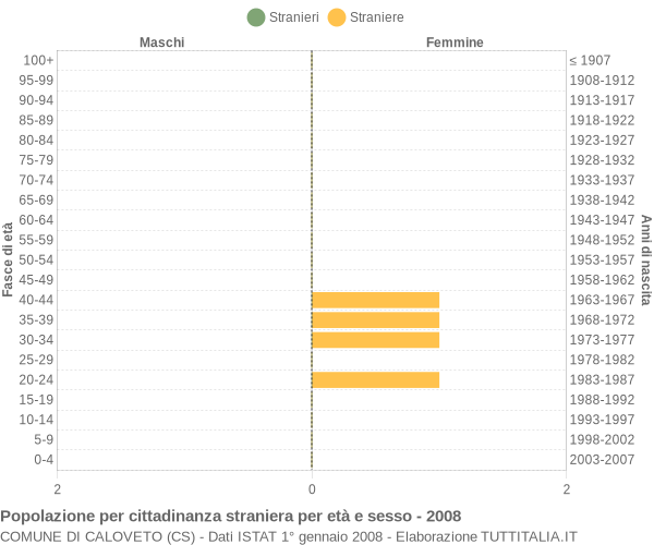 Grafico cittadini stranieri - Caloveto 2008
