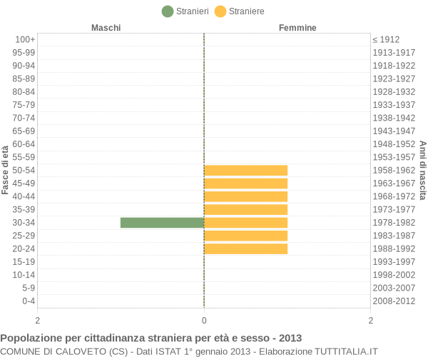 Grafico cittadini stranieri - Caloveto 2013