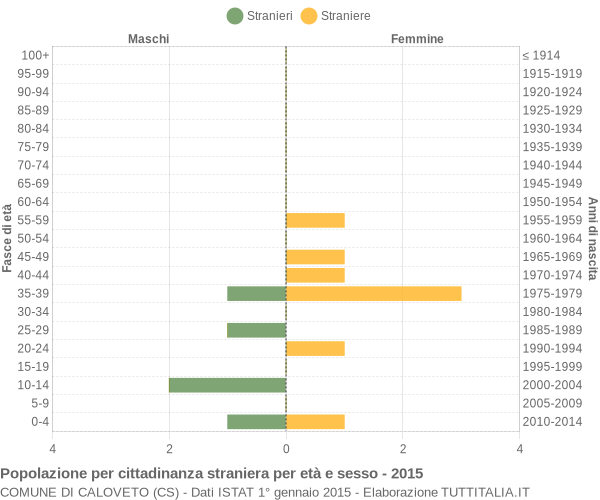 Grafico cittadini stranieri - Caloveto 2015