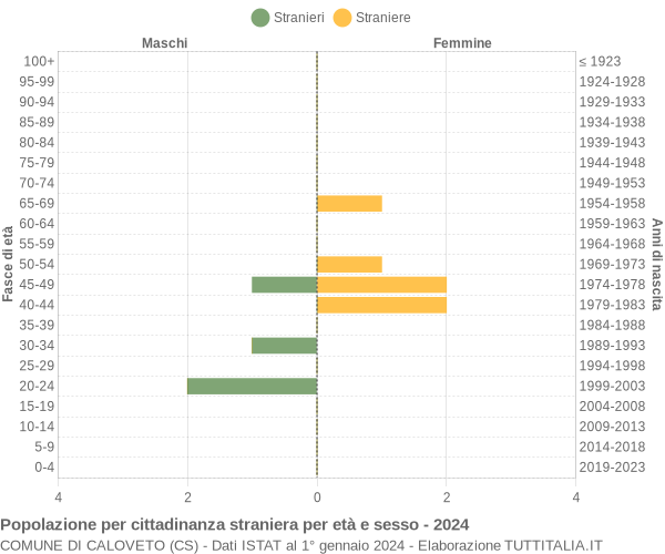 Grafico cittadini stranieri - Caloveto 2024