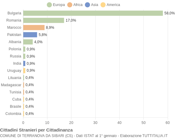 Grafico cittadinanza stranieri - Terranova da Sibari 2021