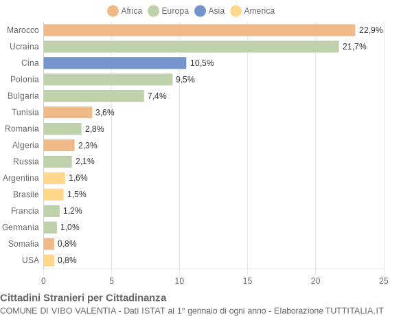 Grafico cittadinanza stranieri - Vibo Valentia 2007