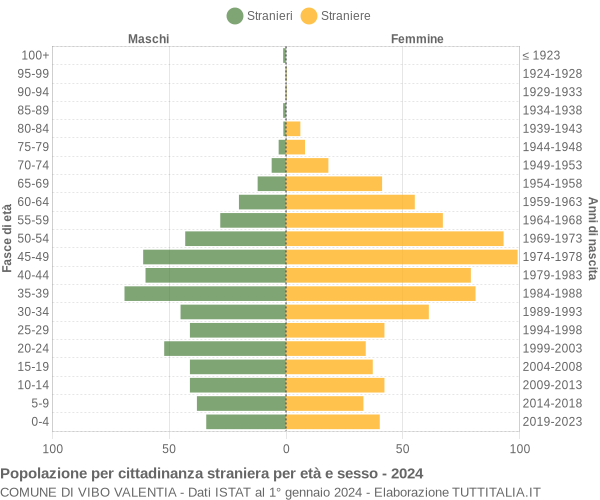 Grafico cittadini stranieri - Vibo Valentia 2024