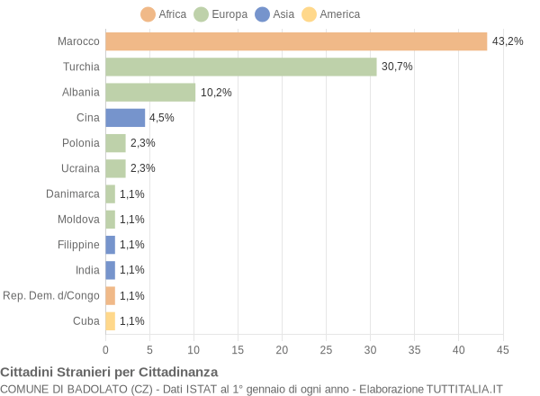 Grafico cittadinanza stranieri - Badolato 2006