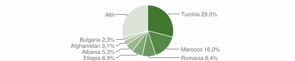 Grafico cittadinanza stranieri - Badolato 2010