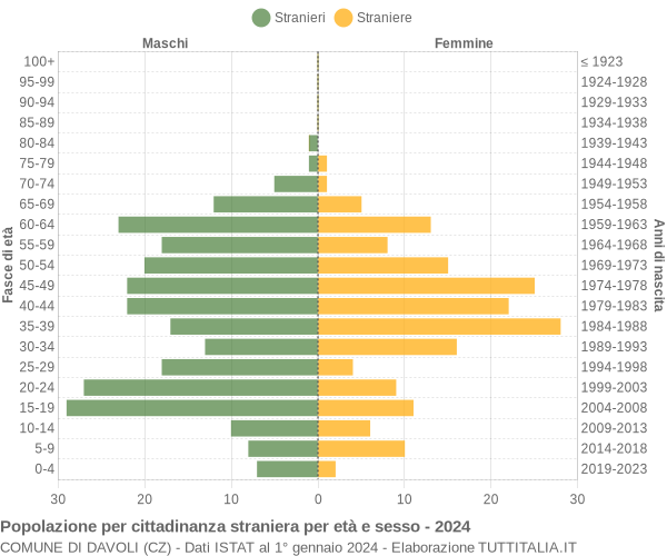 Grafico cittadini stranieri - Davoli 2024