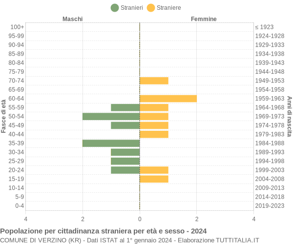 Grafico cittadini stranieri - Verzino 2024