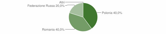 Grafico cittadinanza stranieri - Malito 2010